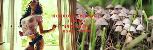 твердый Сатка