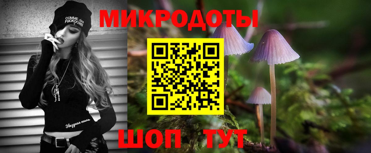 Калач-на-Дону  Галлюциногенные грибы Psilocybe  Псилоцибиновые грибы мицелий  Вход с VPN 